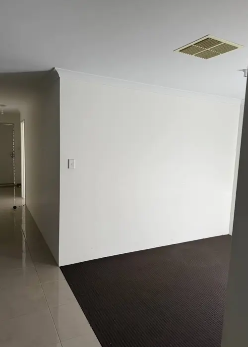 Wall Paint